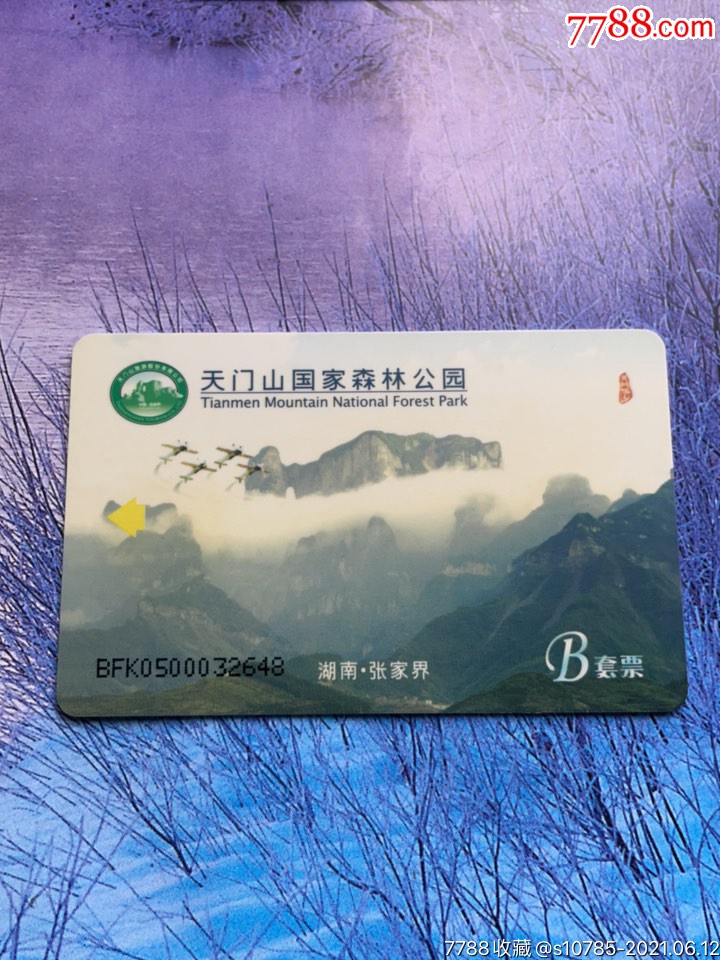 湖南张家界的天门山门票卡b套票