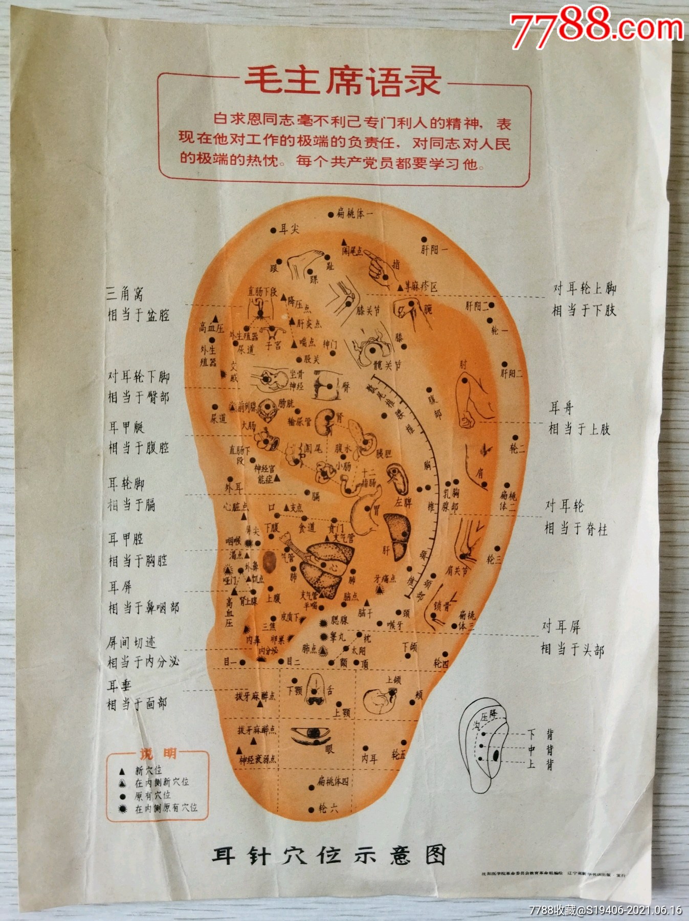 耳针穴位示意图,带语录16开