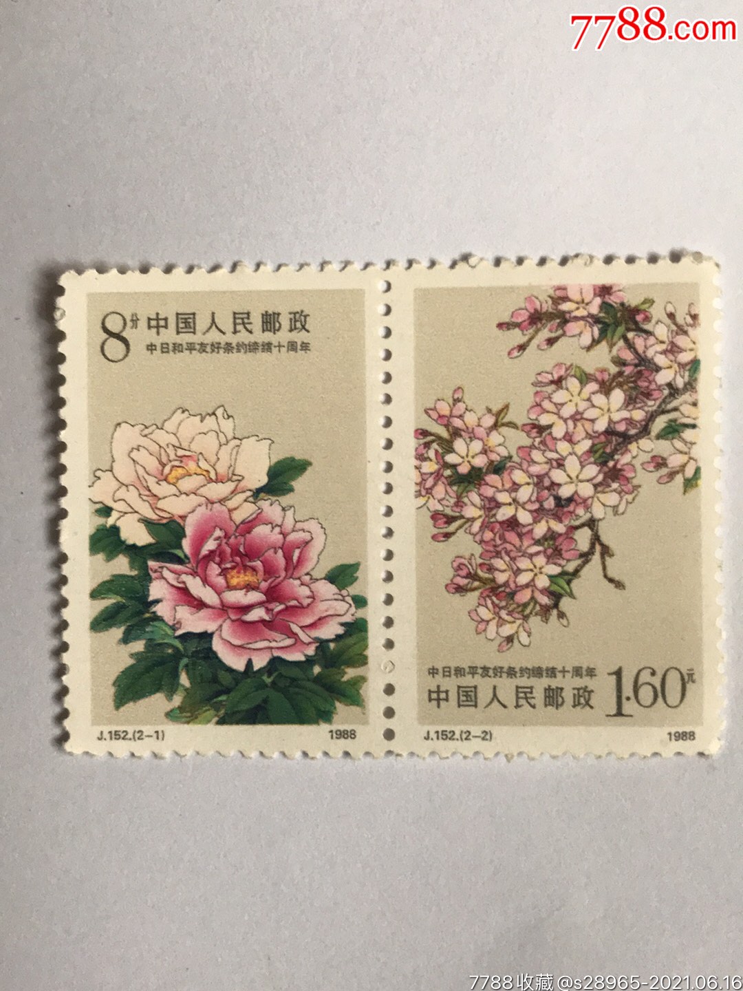 首页 零售 新中国邮票 >> 樱花【芷兰园】滚动鼠标滚轴,图片即可轻松