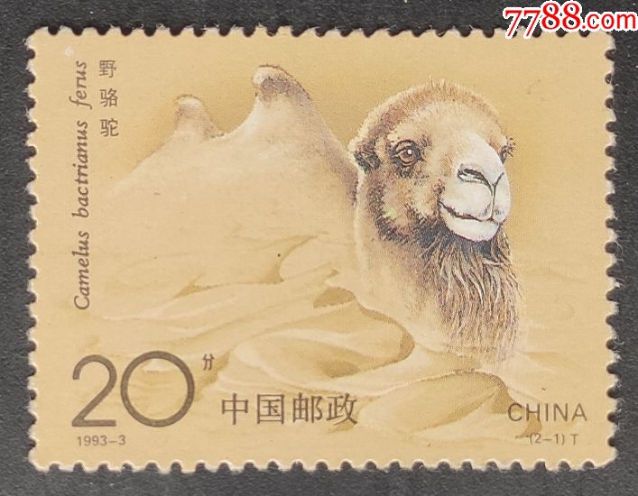 《1993-3野骆驼》邮票一枚
