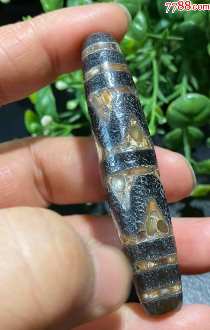 4919藏传虎纹老天珠