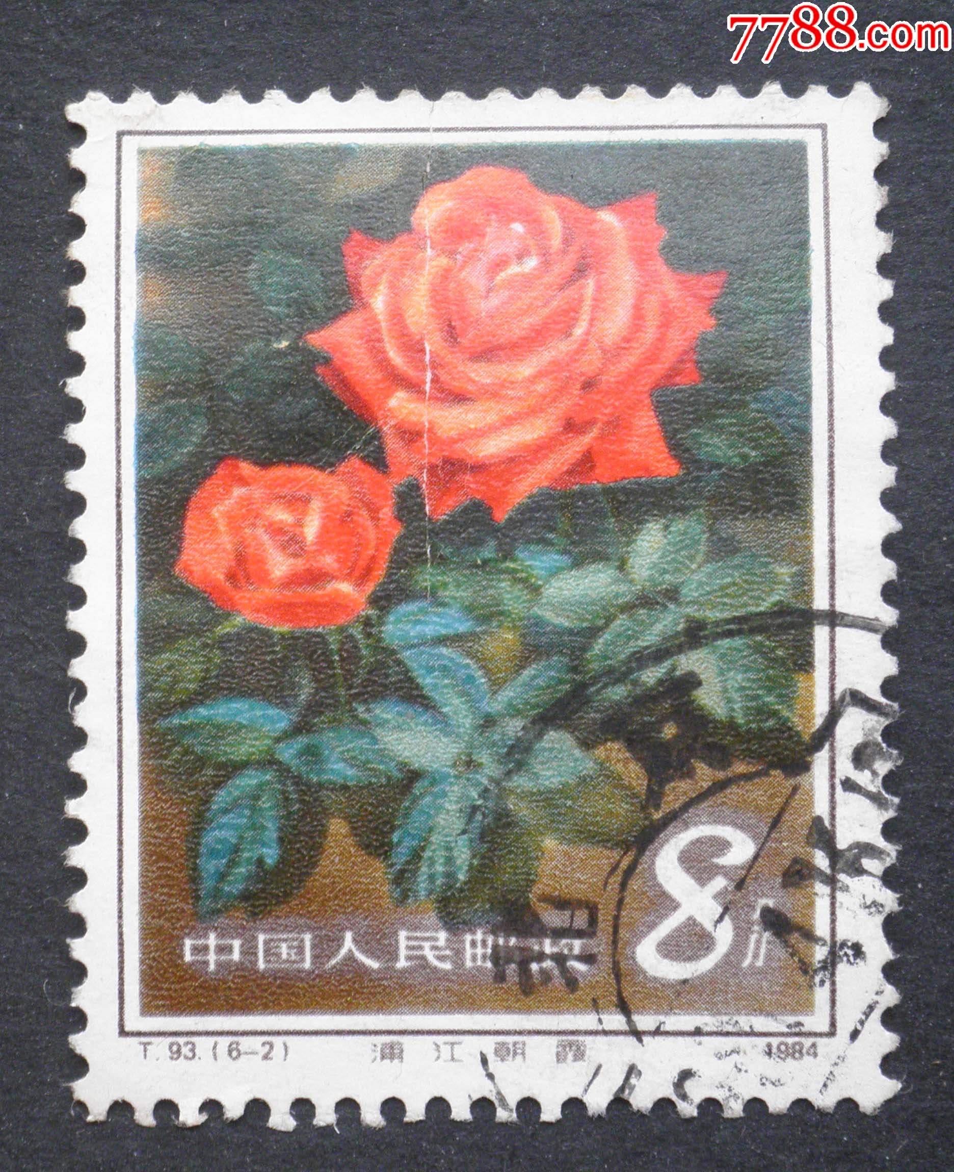 信销票t93月季花6-2:浦江朝霞-新中国邮票-7788木艺