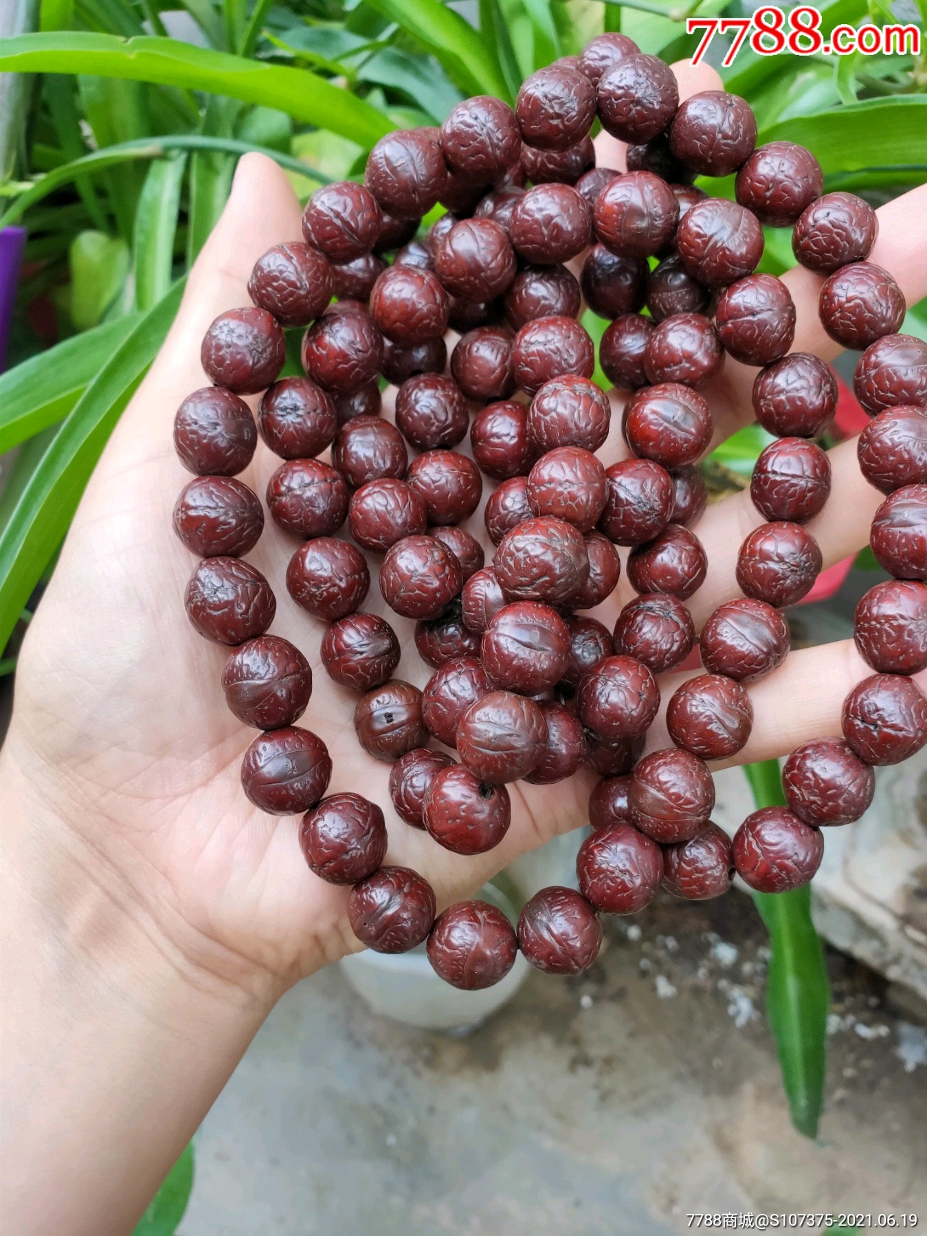 西藏收来的老凤眼108粒包浆红润保真