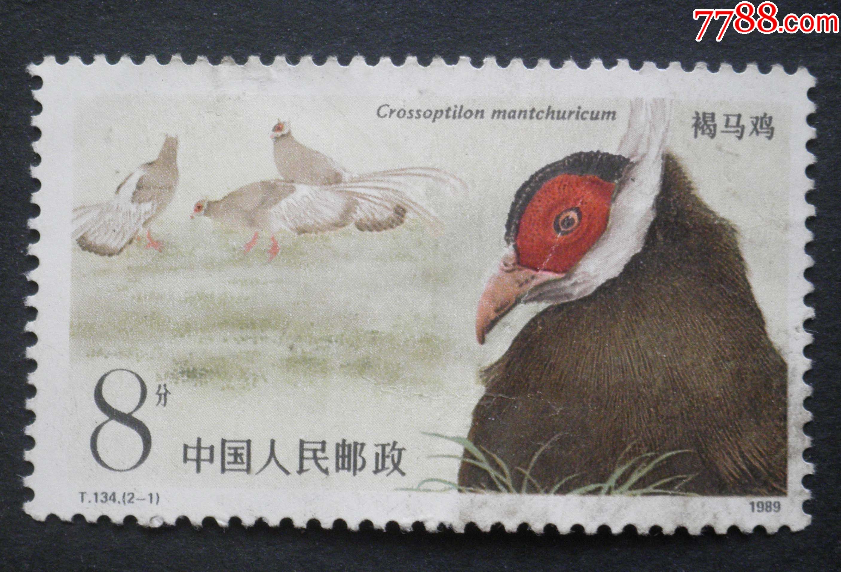 信销票t134褐马鸡2-1:英姿-新中国邮票-7788商城__七七八八商品交易