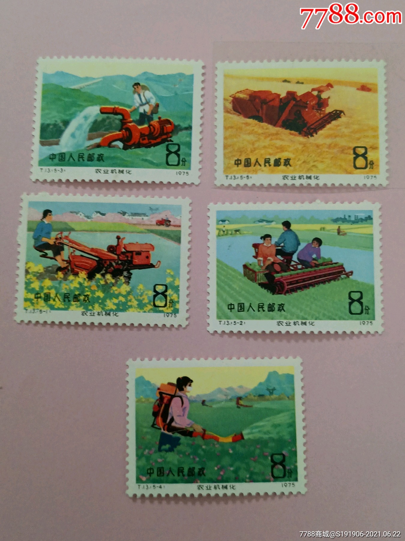 滚动鼠标滚轴,图片即可轻松放大,缩小更多"新中国邮票