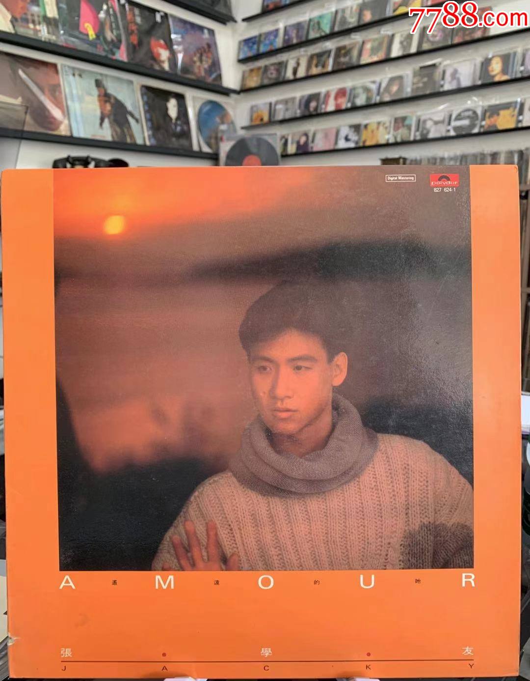 张学友遥远的她lp