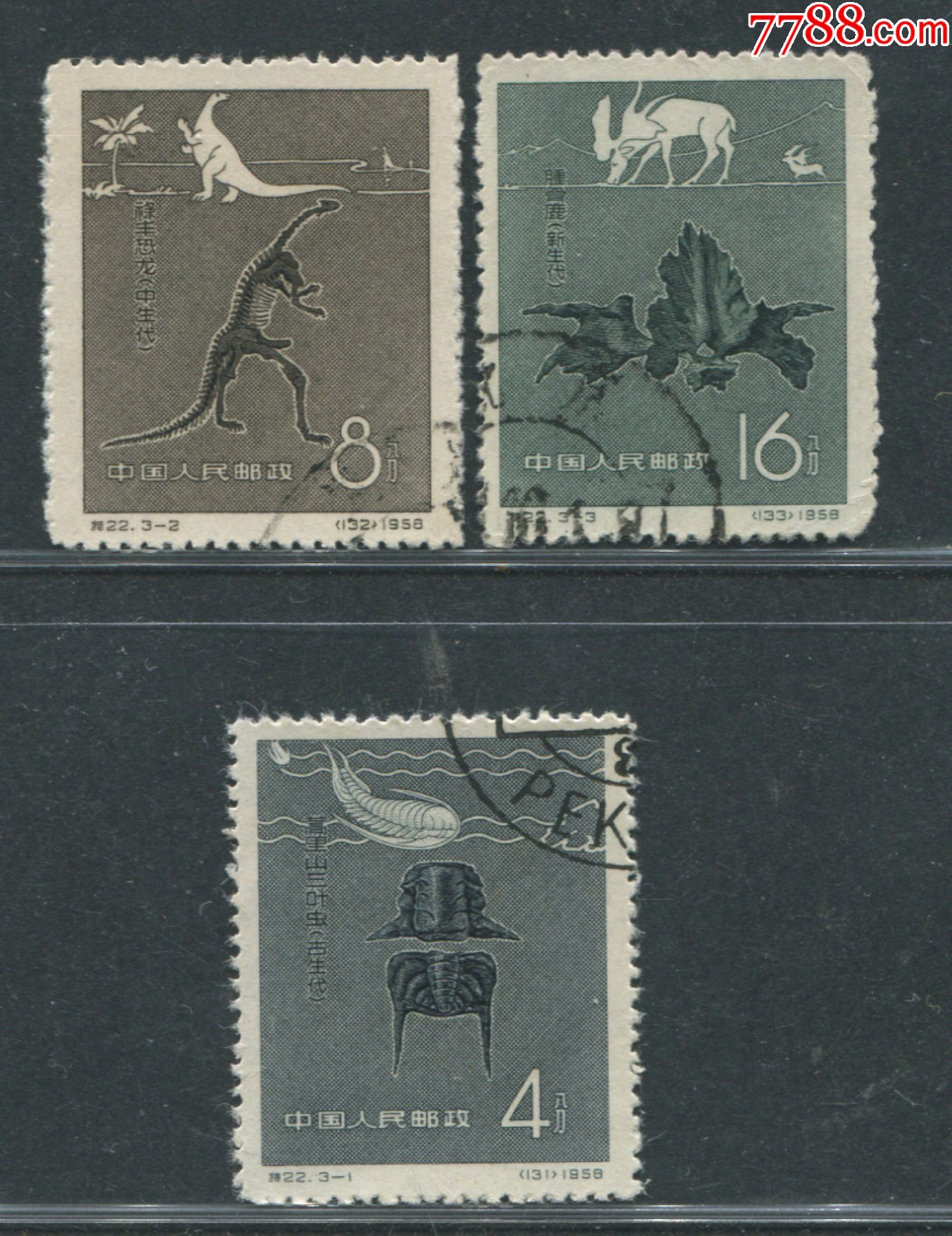特22中国古生物老纪特盖销邮票保真实图发货新中国邮票