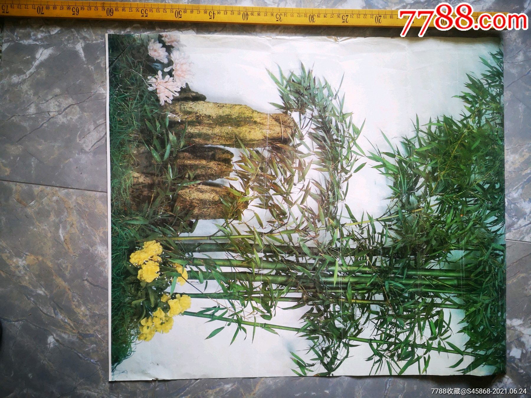 摄影盆景年画青竹图