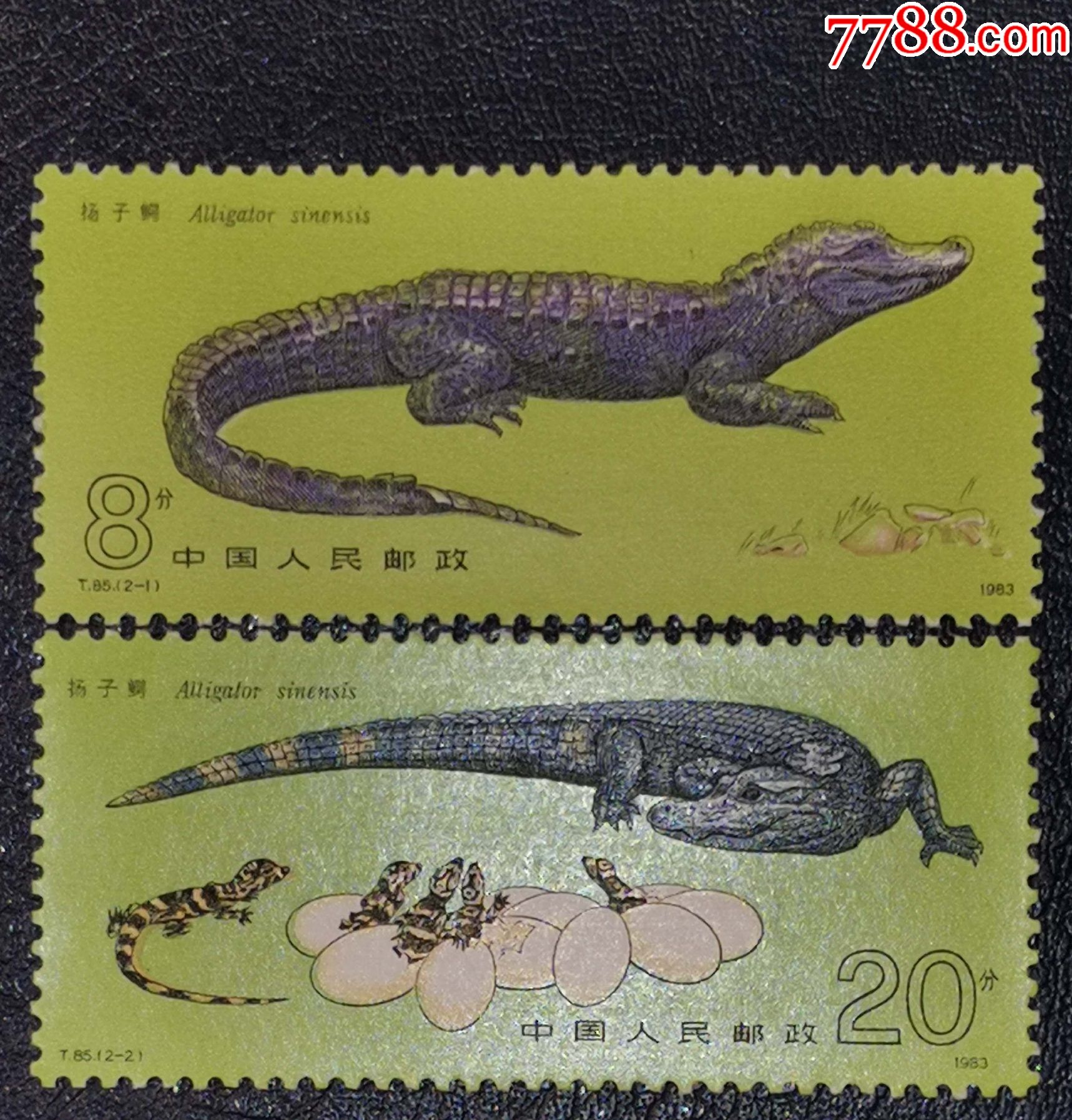 滚动鼠标滚轴,图片即可轻松放大,缩小更多"新中国邮票