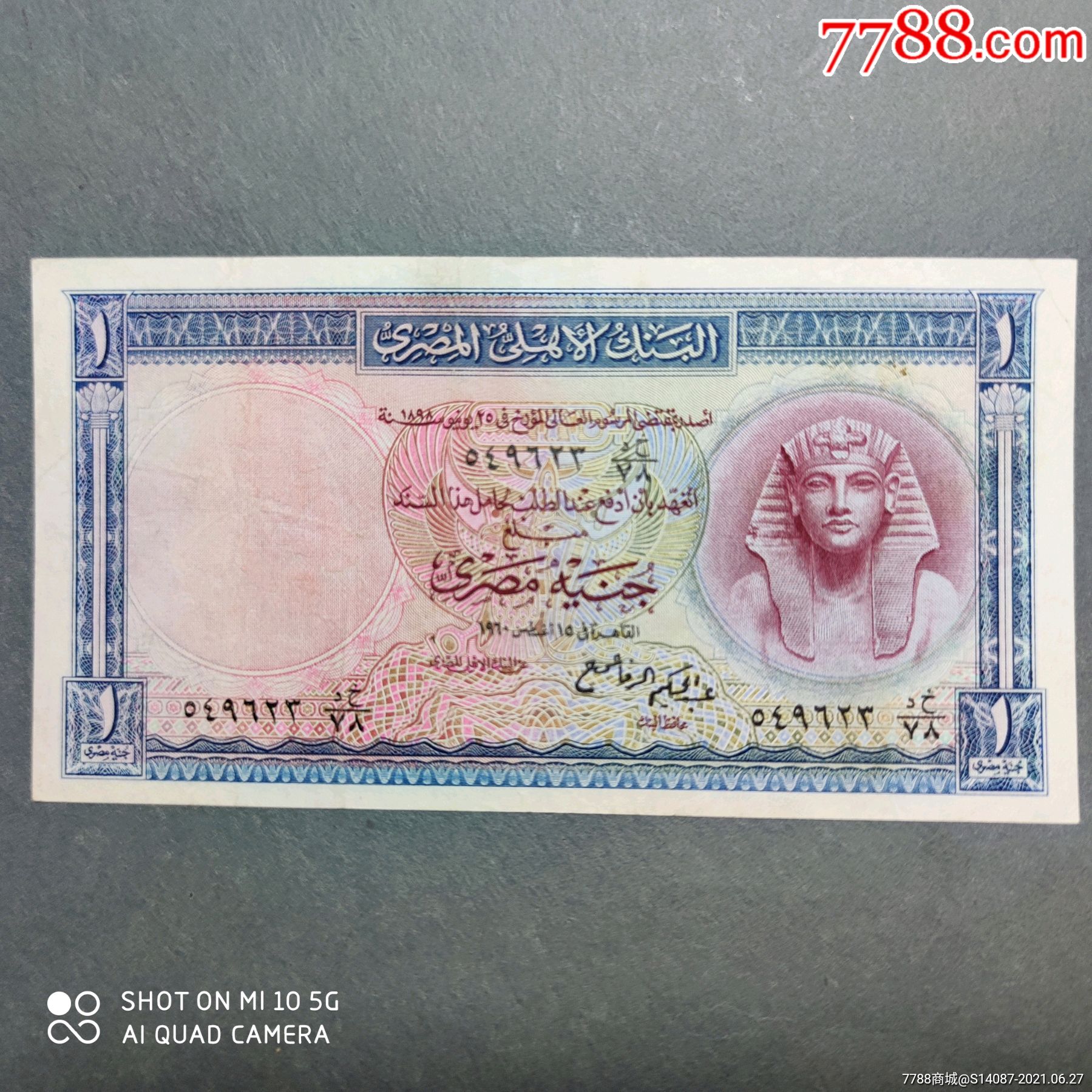 外币～埃及1镑
