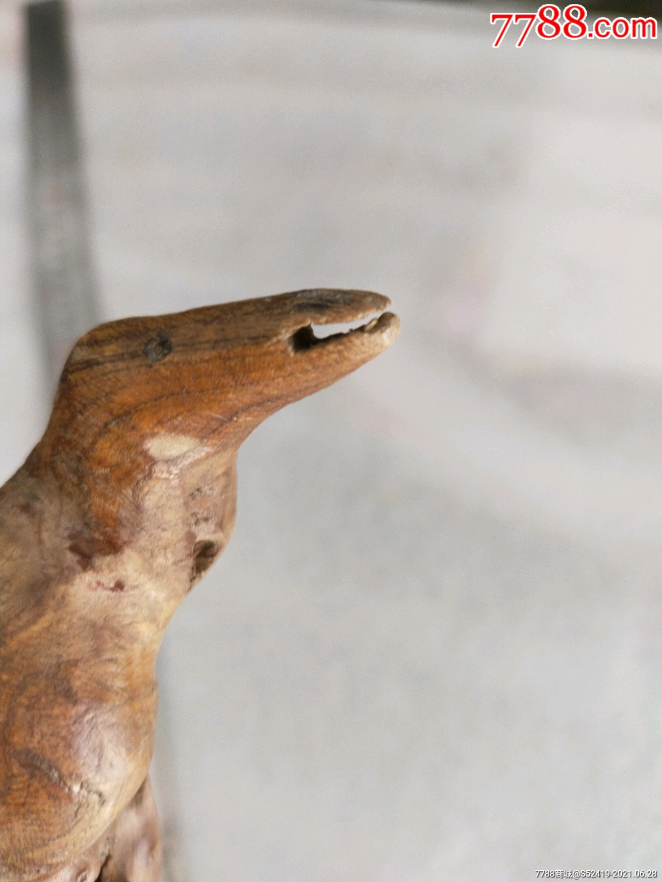 非常结实的鸟首荆阳木老拐杖