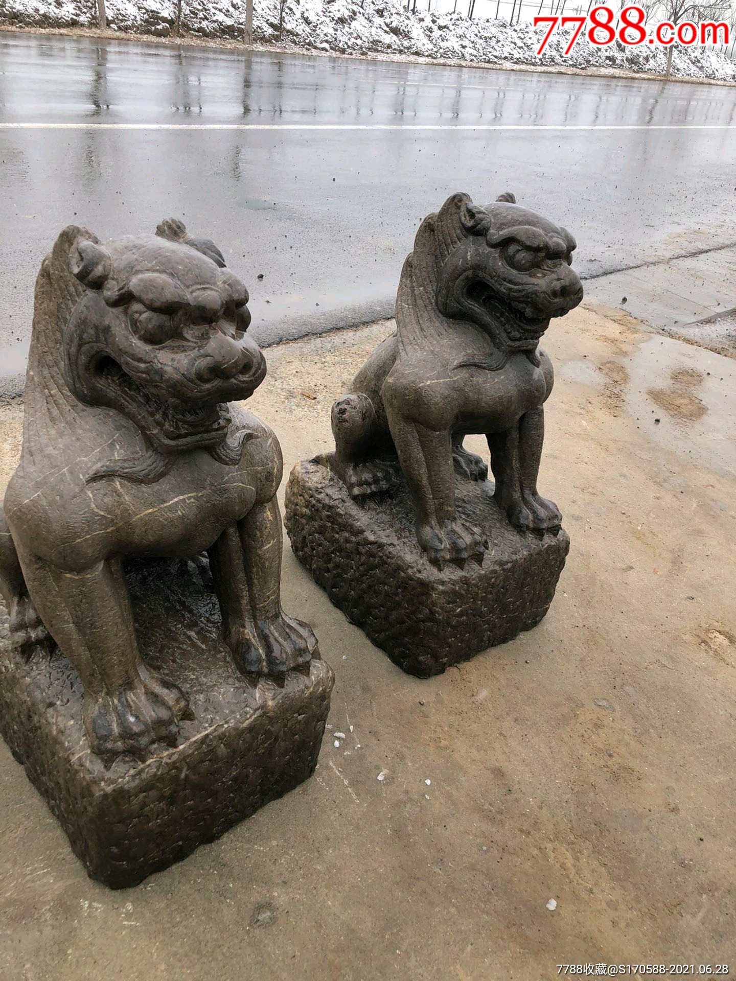 拆迁偶遇清代青石镇宅石狮一对尺寸如图全品无磕碰