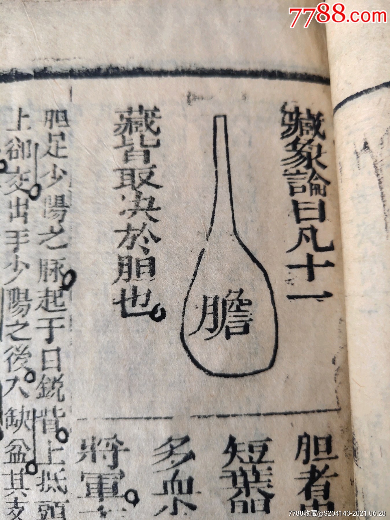 【中医文献】清代(大开本)《十二经络脉歌》经络歌,脉诀歌,经络图说