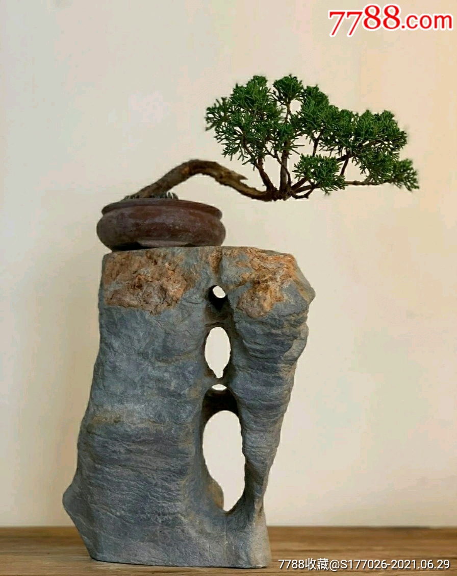 各种奇石,太湖石盆景,花架