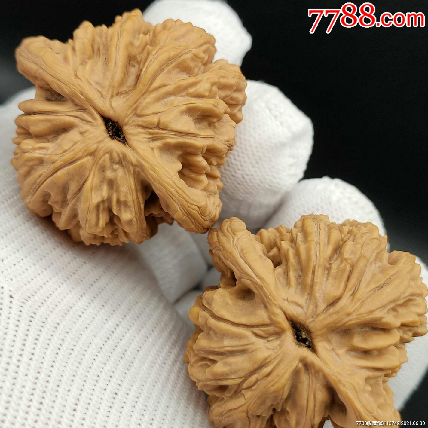 41麥穗虎頭高*樁薑黃皮(邊415肚39高44天然寶貝精品一對)-文玩核桃