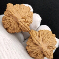 >> 麦穗虎头姜黄皮高炮桩(大尺寸边41.5肚39高44天然一对43.