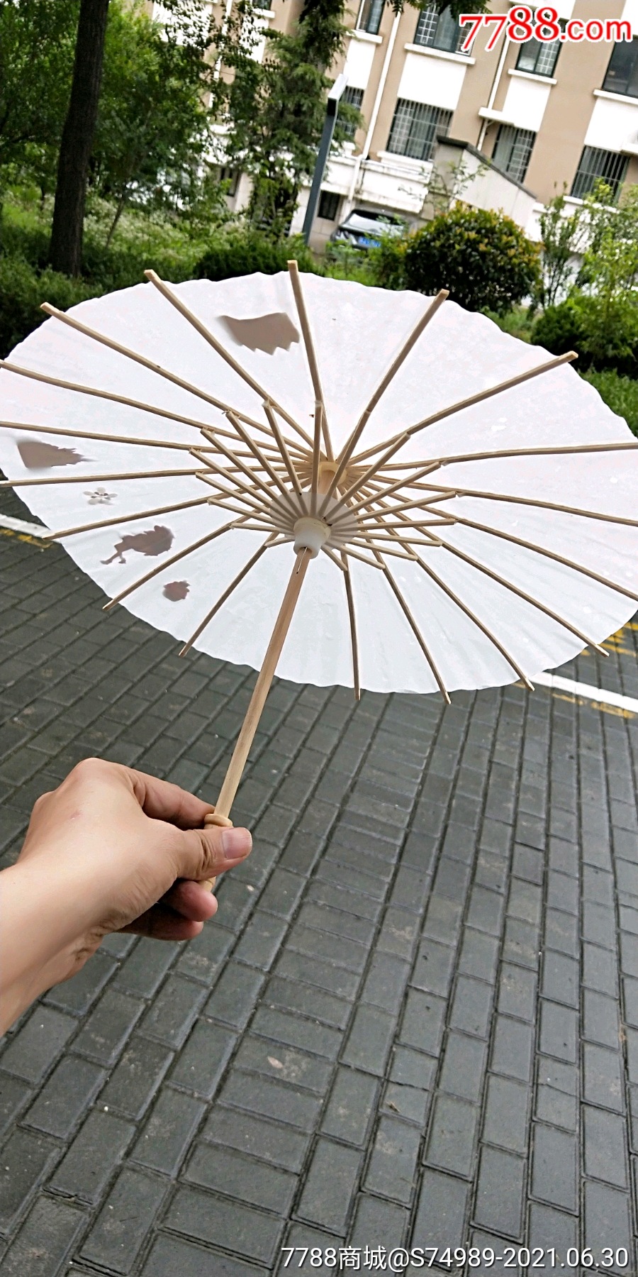 纸伞小伞小雨伞洋伞