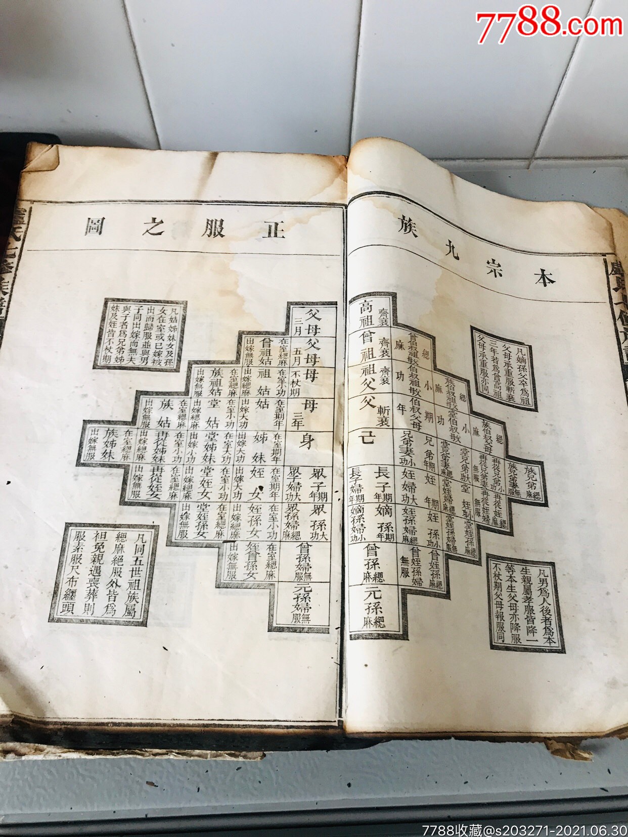 有五服图村落图宗祠图支祠图大量图,及卢氏名人寿考碑记等