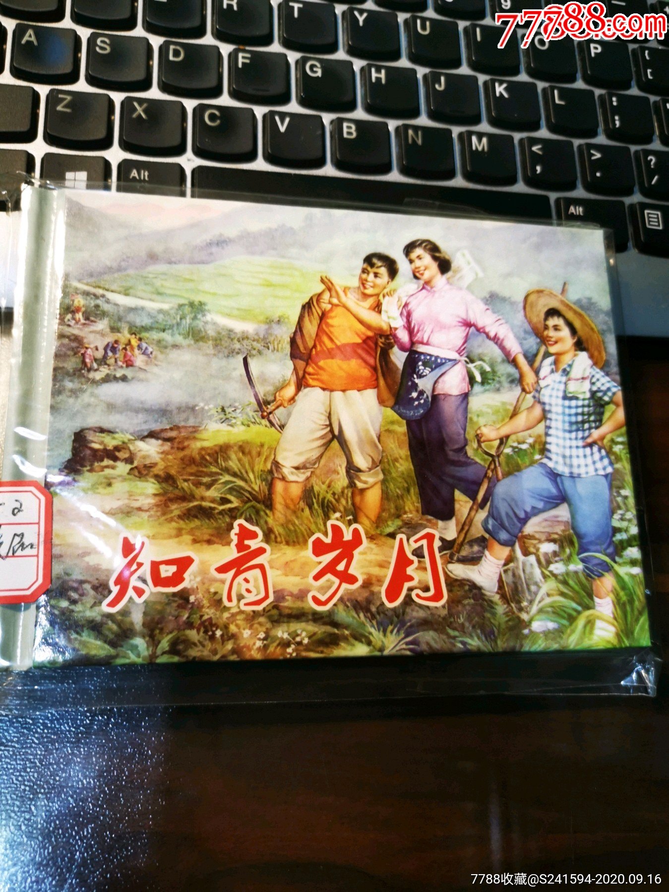 知青岁月