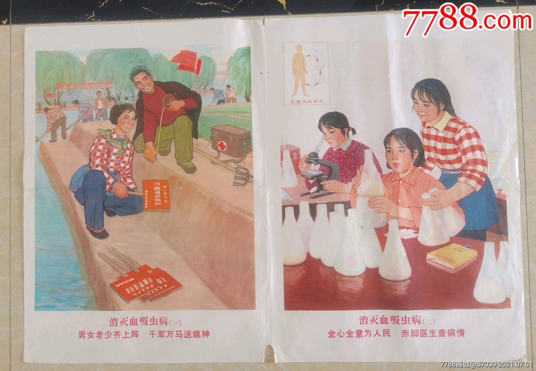 卫生防疫宣传画消灭血吸虫病14对开两张一套全