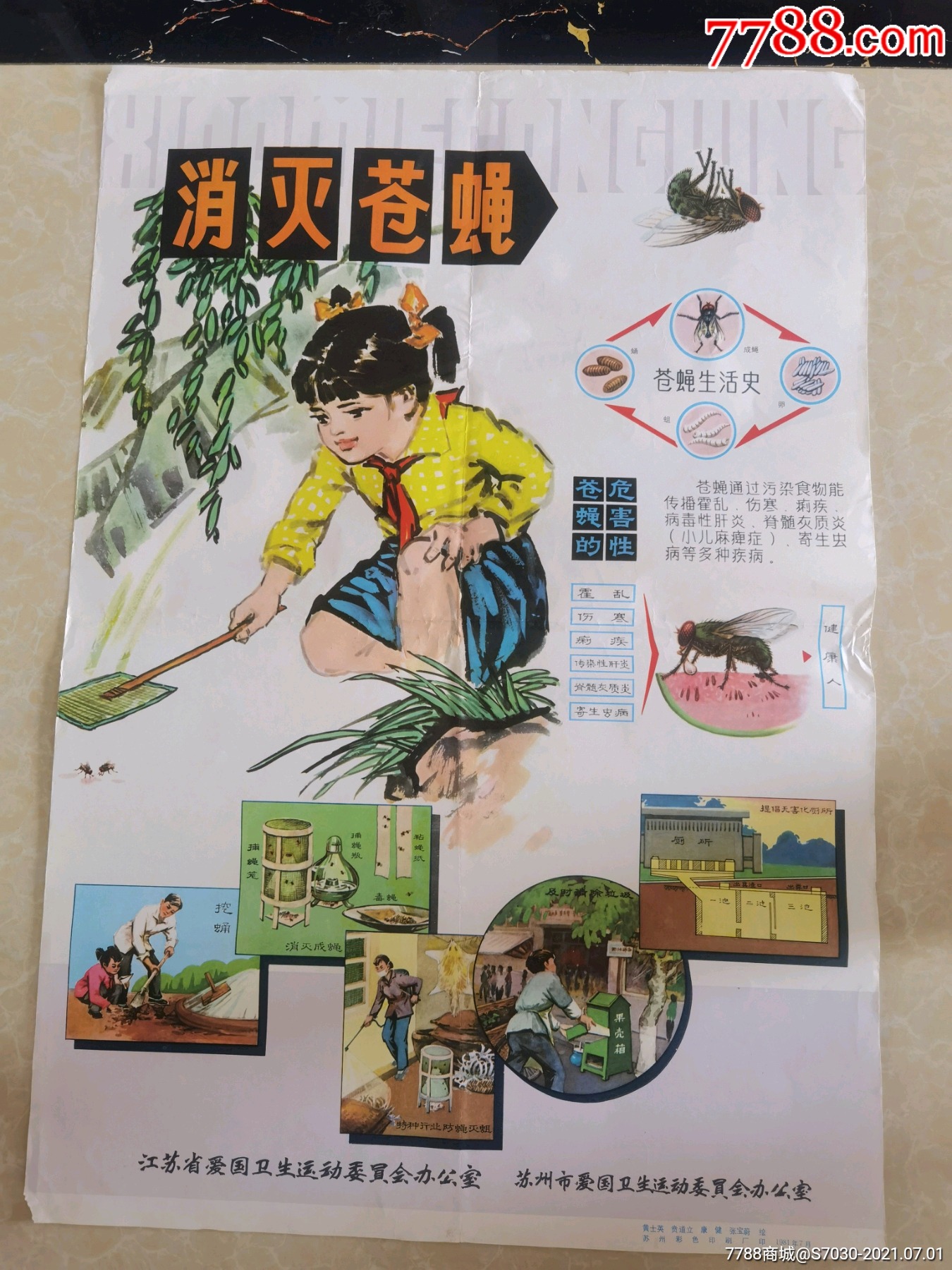 卫生防疫题材消灭苍蝇