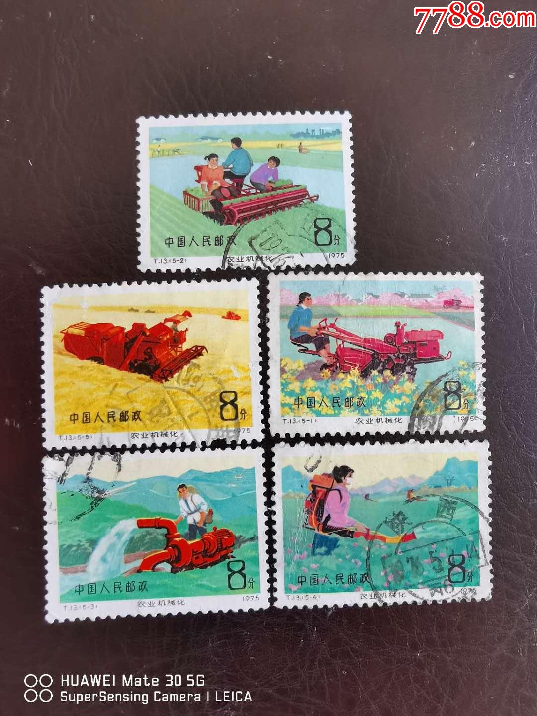 t13信销套票_新中国邮票_东洲邮苑【7788收藏__收藏热线】