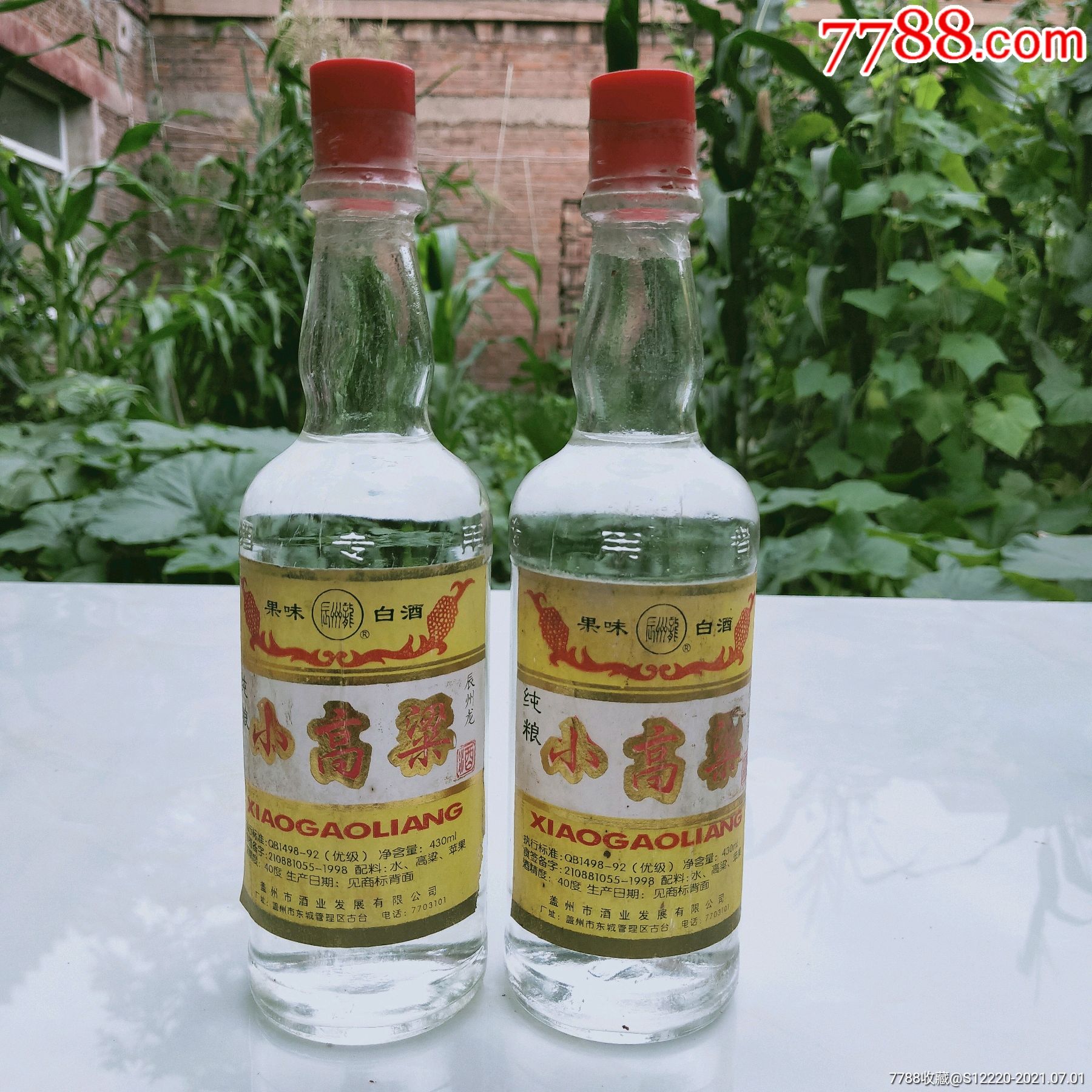 老龙口酒专用果味白酒纯粮小高粱酒