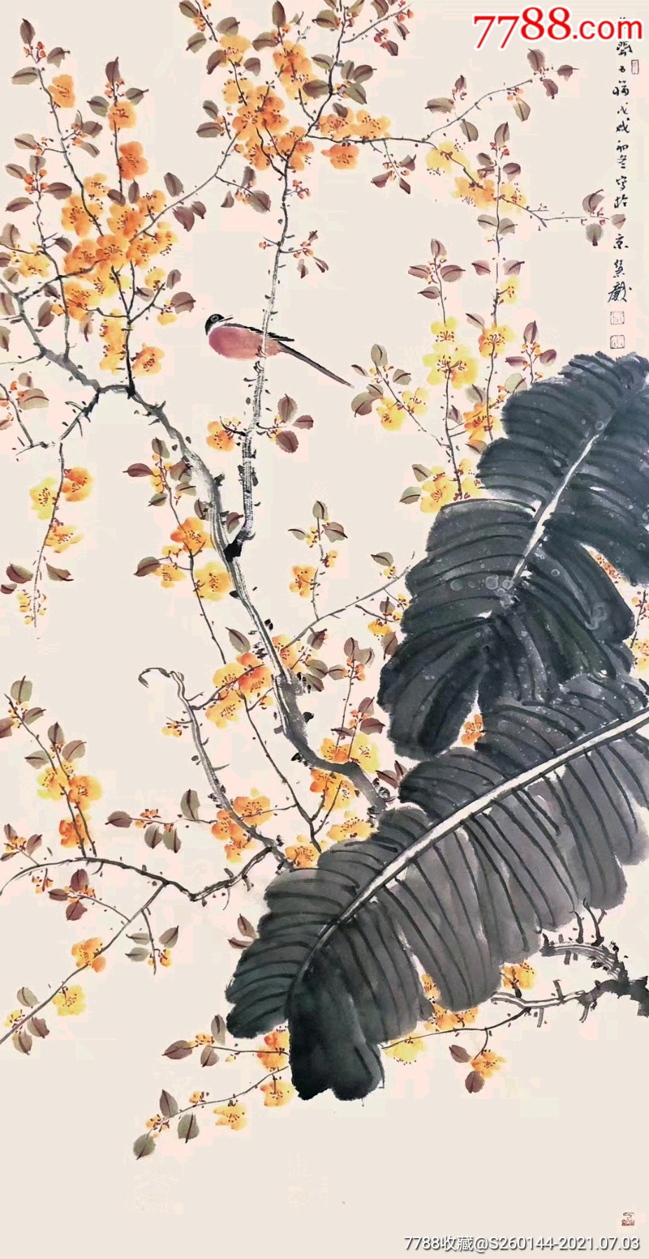 郭慧庆花鸟作品13668cm