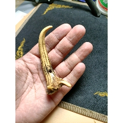 清代民国时期鹿角/麂子角解绳器/骨觽(se81209893)_7788烟酒茶牌