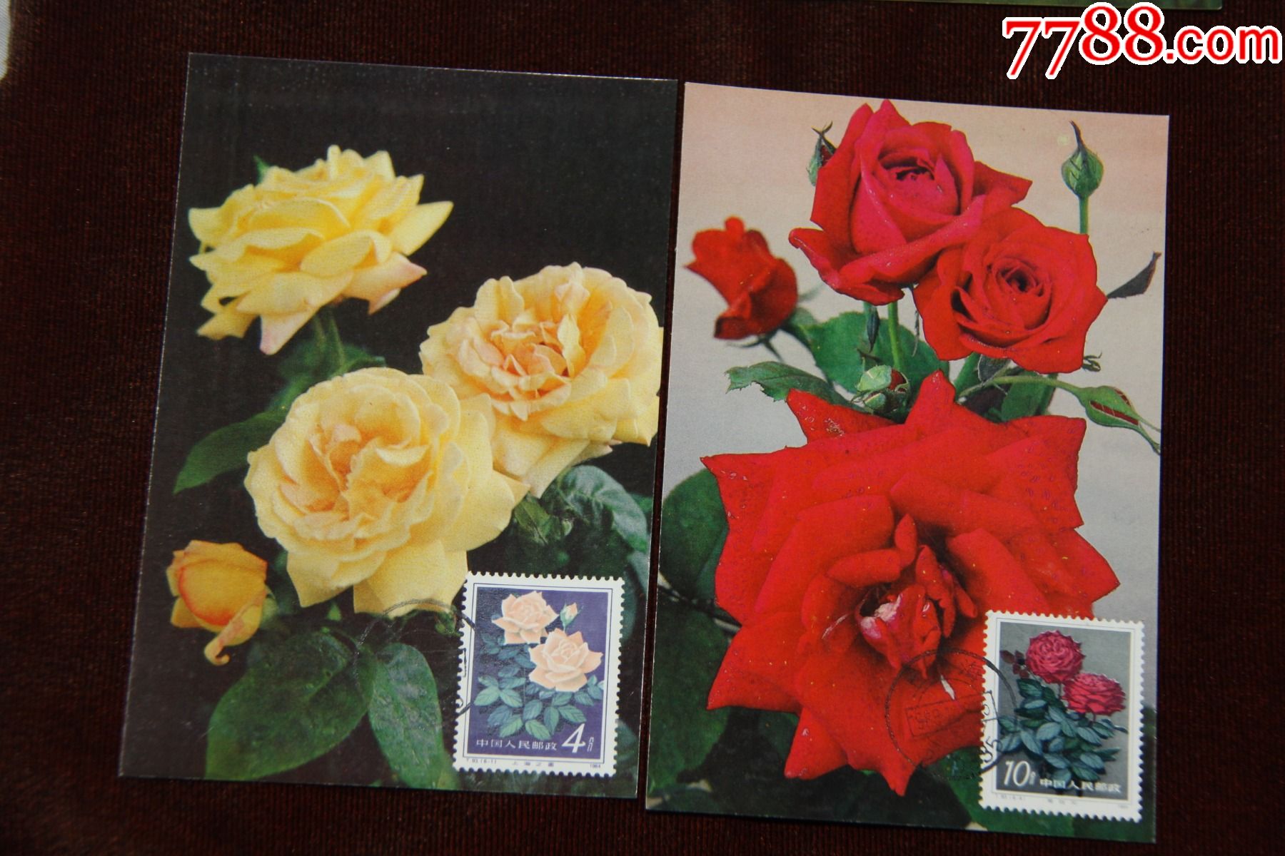 月季花极限明信片-明信片/邮资片-7788模型收藏