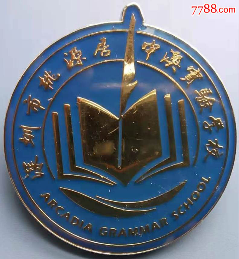 深圳市桃源居中澳实验学校徽章1枚