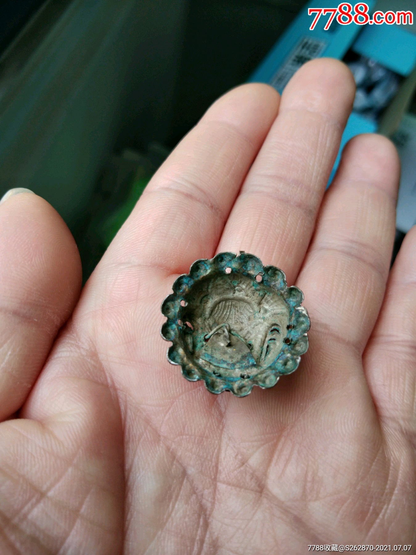 狮子头老银帽花