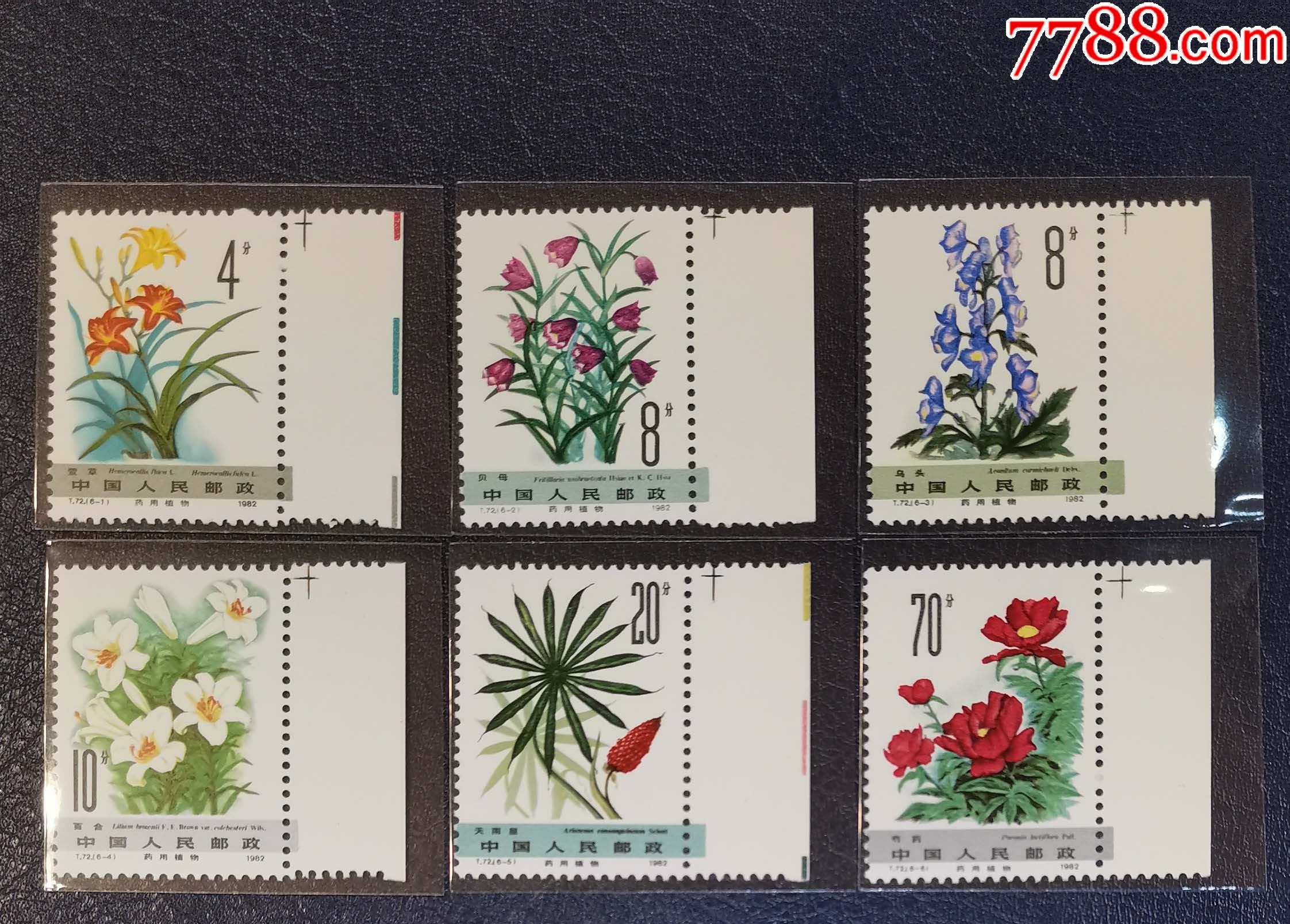 t72药用植物,带边_新中国邮票_龙行天下邮币卡社【7788收藏__收藏热线