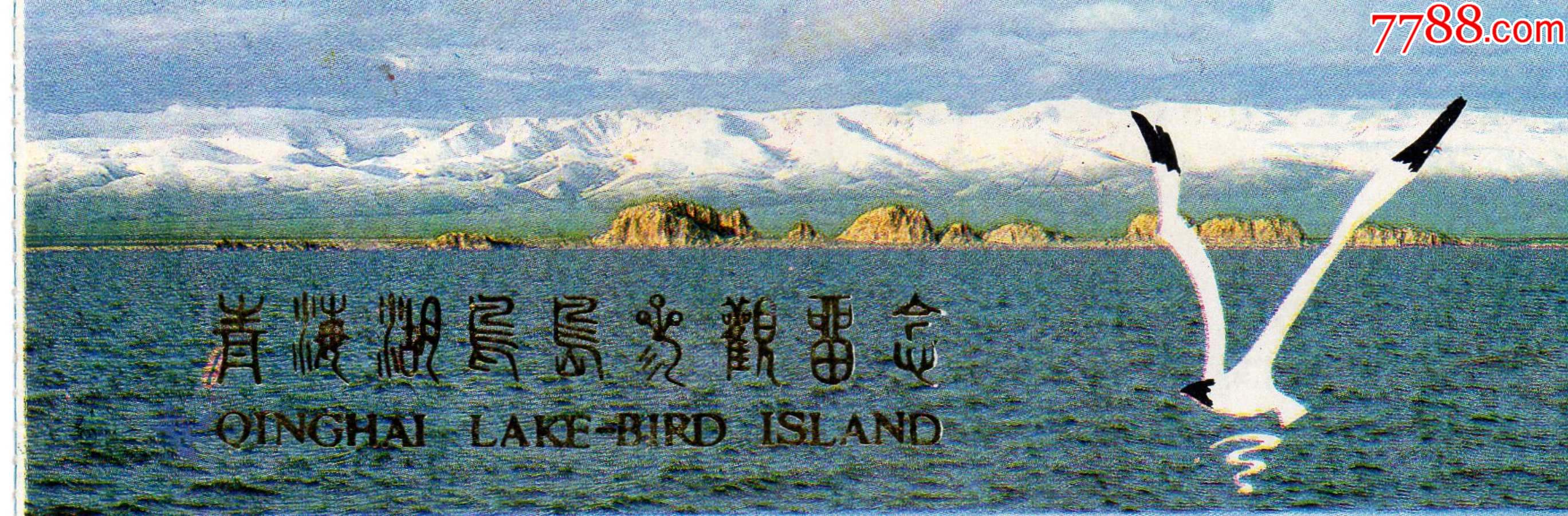 876·6青海湖鸟岛参观留念·门票门券·早期门票·门券·旅游纪念券
