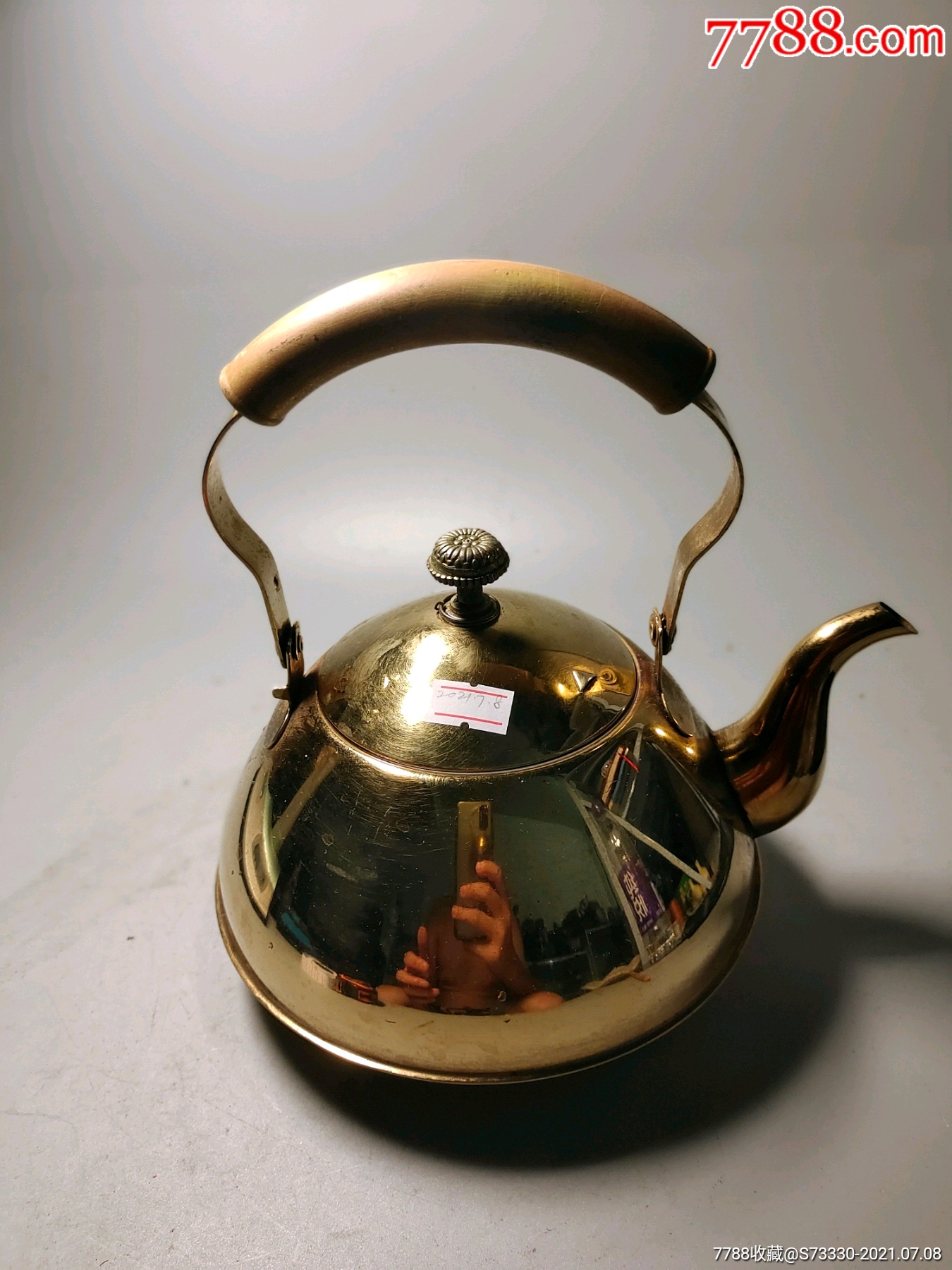 现代电镀金属茶壶一把