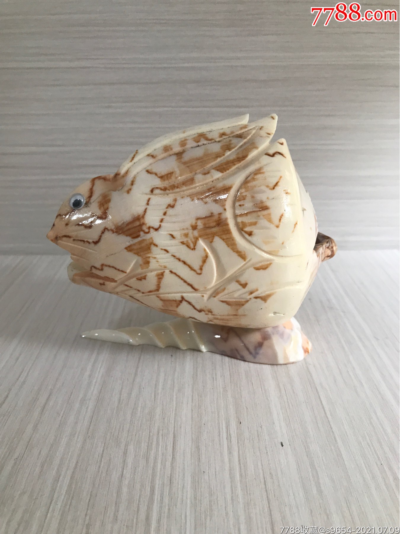 海螺工艺品:长12.5厘米,高11.5厘米