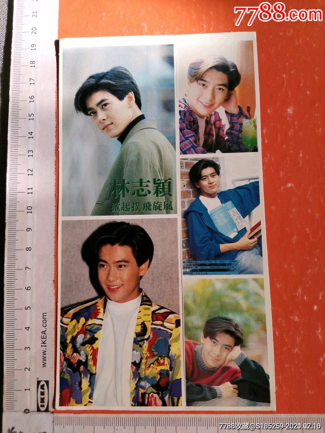 明星贴纸林志颖4