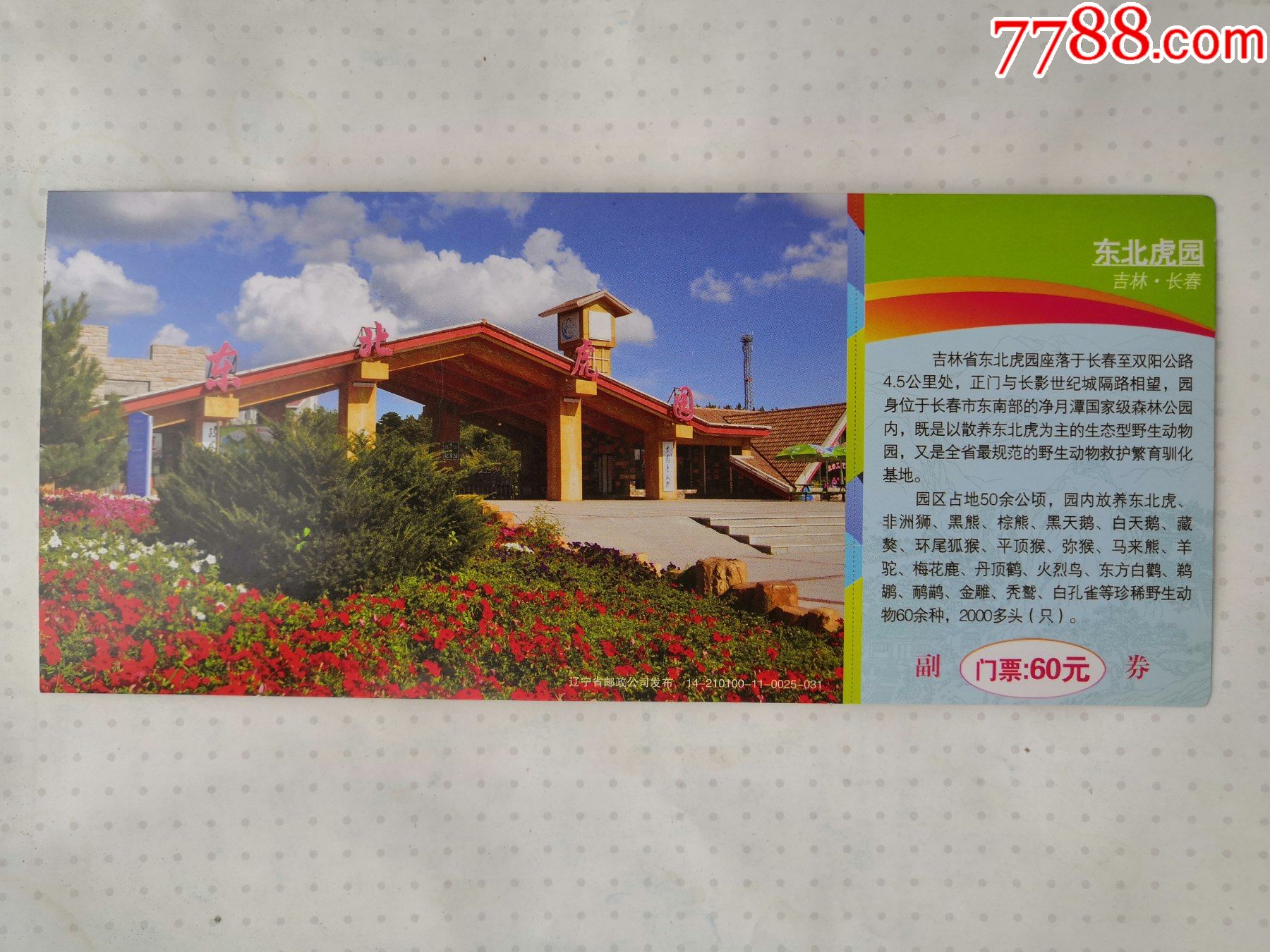乐游东三省长春东北虎园门票