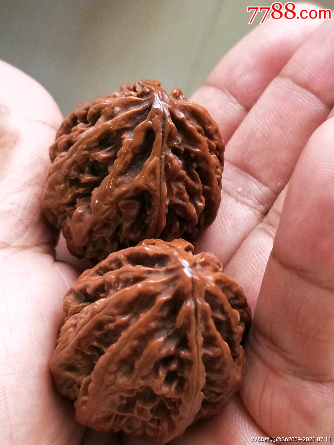 全品老楸子核桃一对