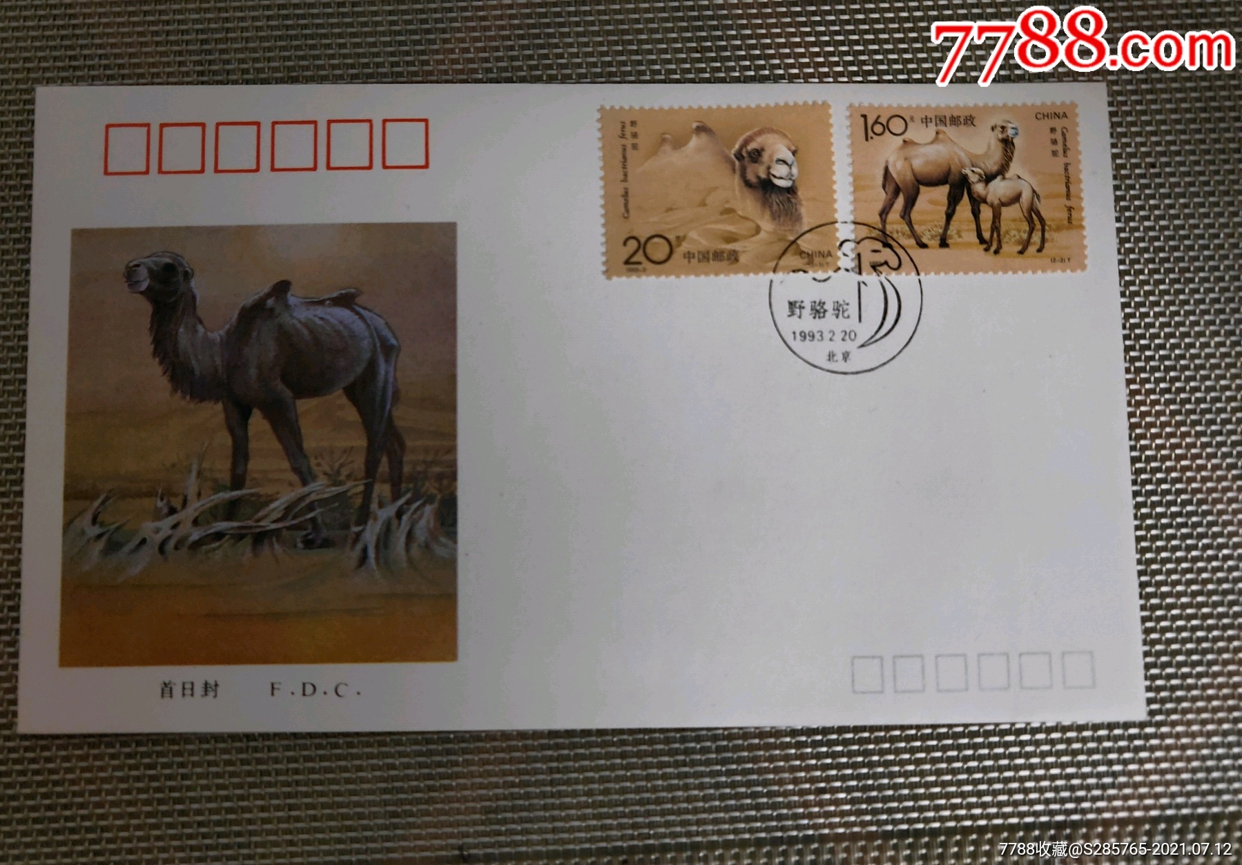 1993-3野骆驼邮票首日封(北京发行)