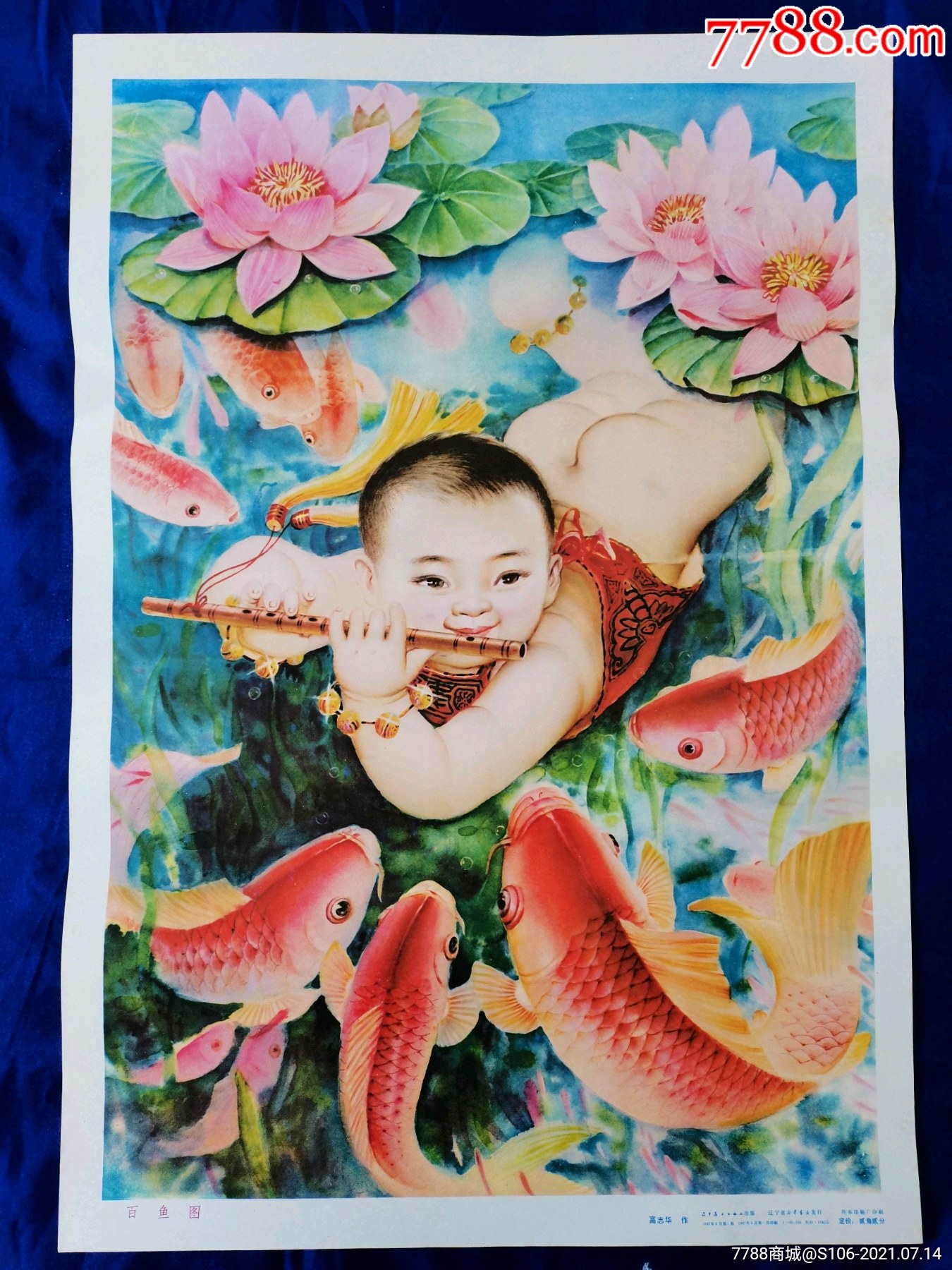 杨柳青年画缸鱼图片