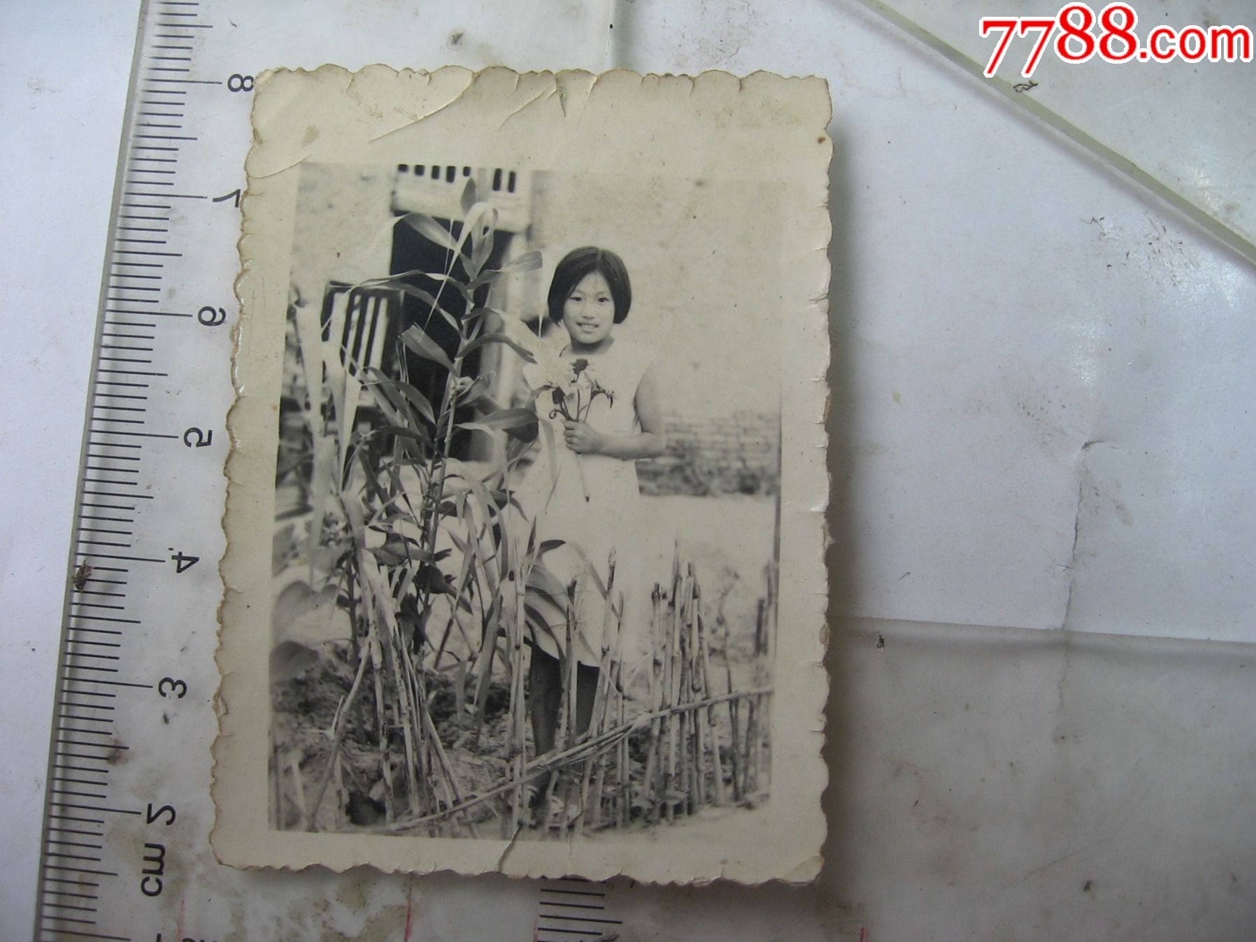 农村女孩_老照片_文华收藏【7788收藏__收藏热线】