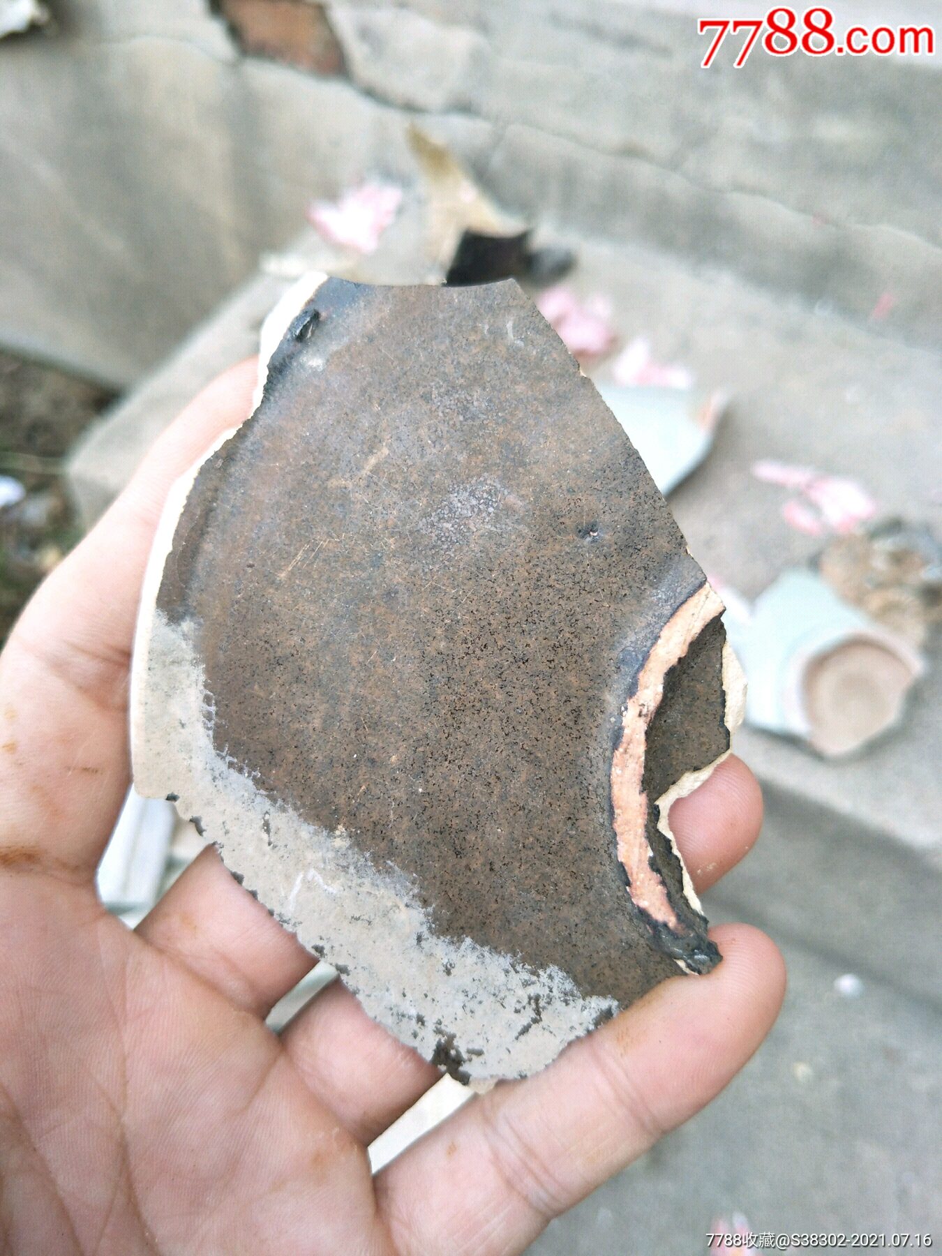 宋元外黑内白缁素瓷瓷片残片临清运河古玩店万枚瓷片标本馆