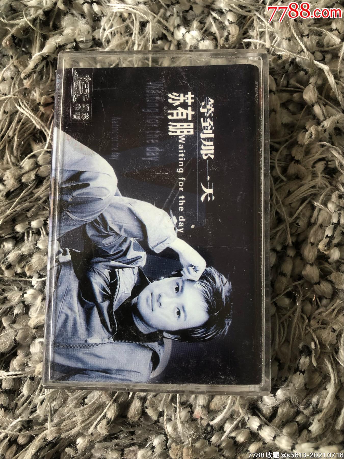 苏有朋等到那一天