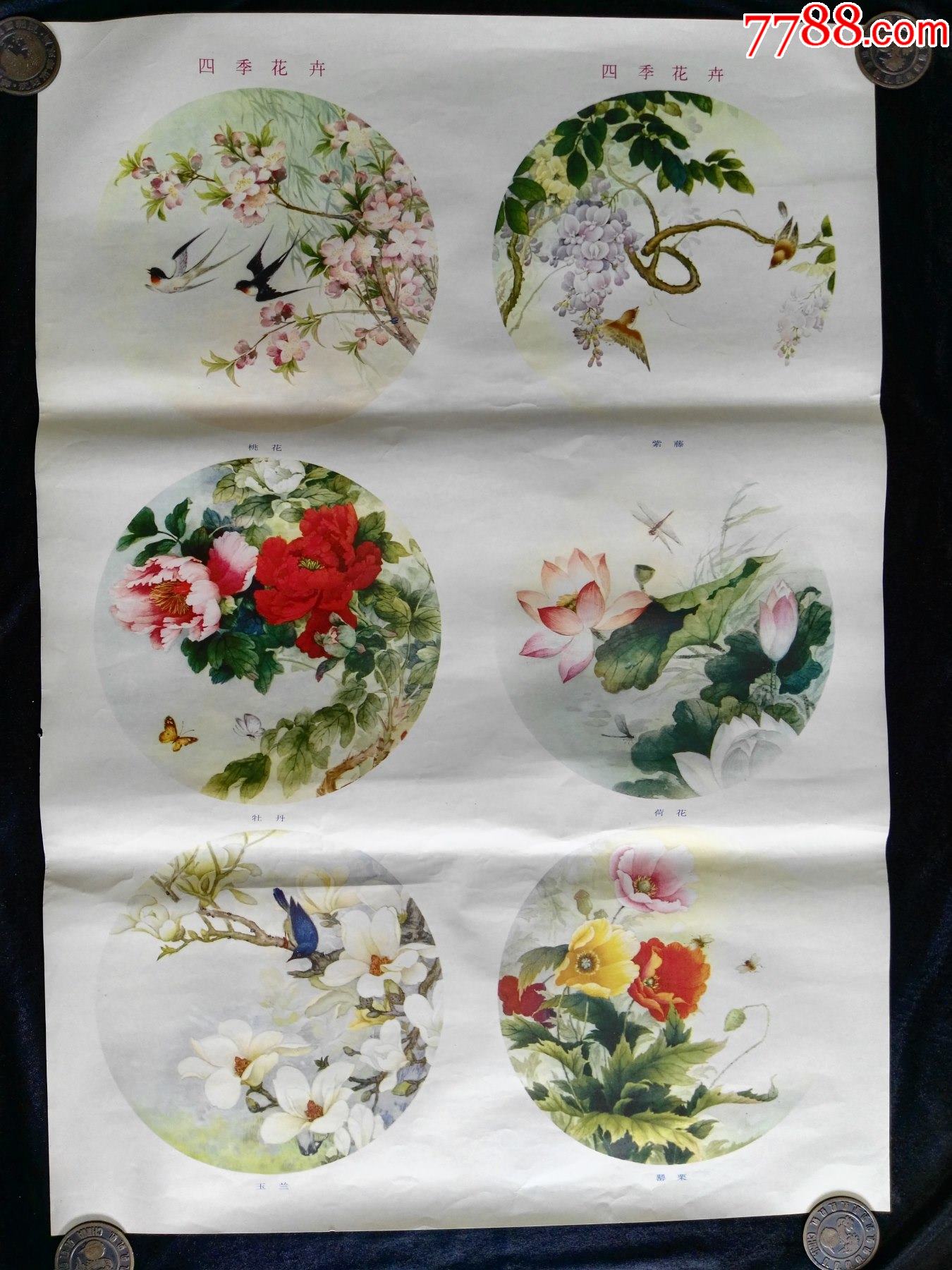 四季花卉一张(1)_年画/宣传画_红色纸品行【7788收藏__收藏热线】