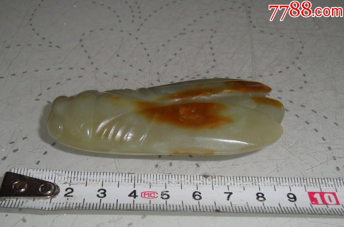 玉蝉红山文化玉器_价格500元_第1张_7788收藏__收藏热线