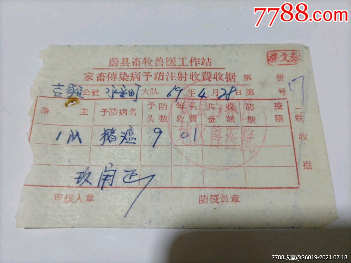 蔚县家禽传染病预防注射收据猪瘟