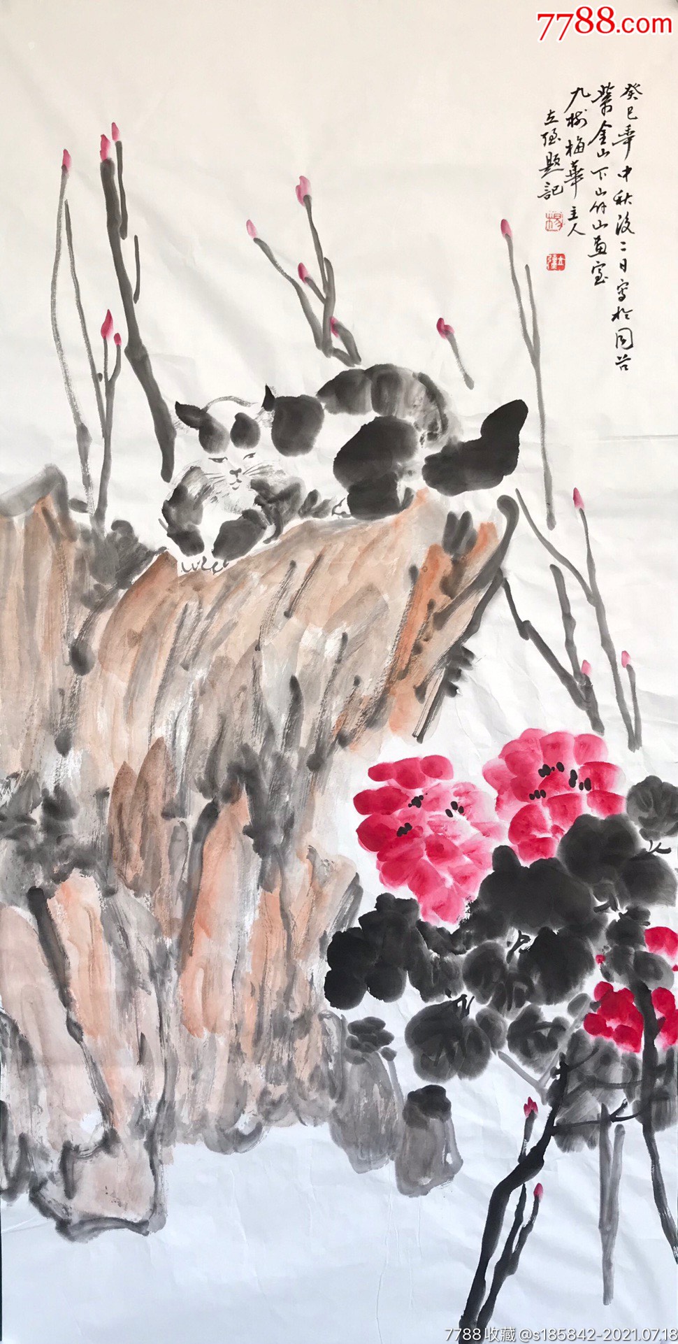 杨立强软片13668