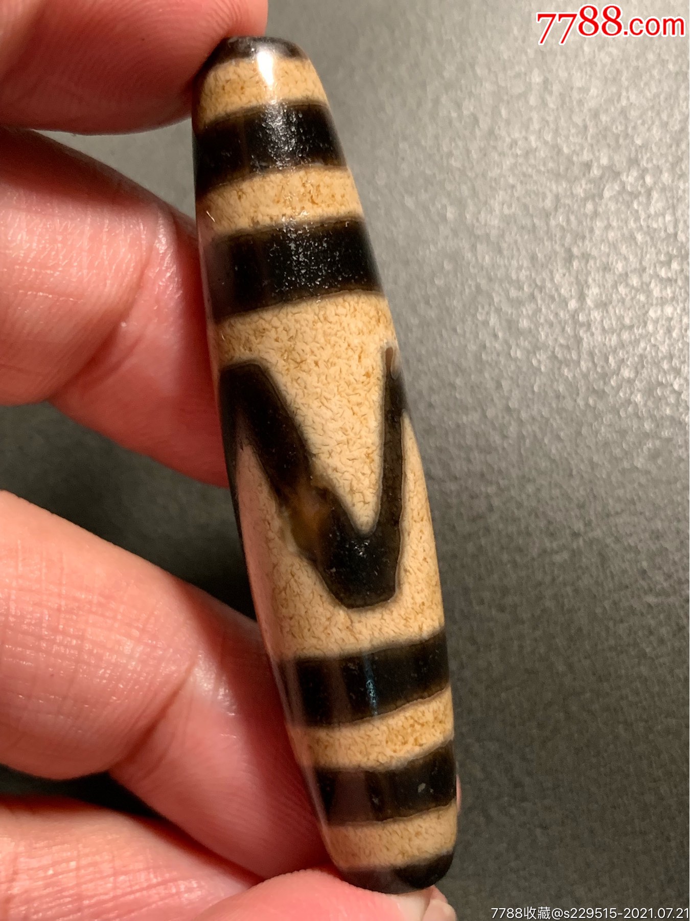 藏传双线虎牙大天珠56.8*13毫米