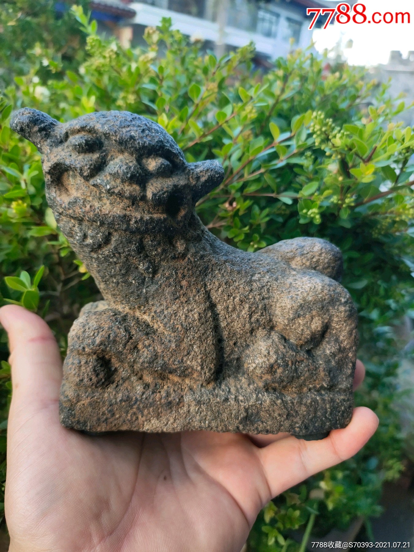 清早期花岗岩镇纸石狮子,少见完整-石狮/石雕塑-7788商城__七七八八